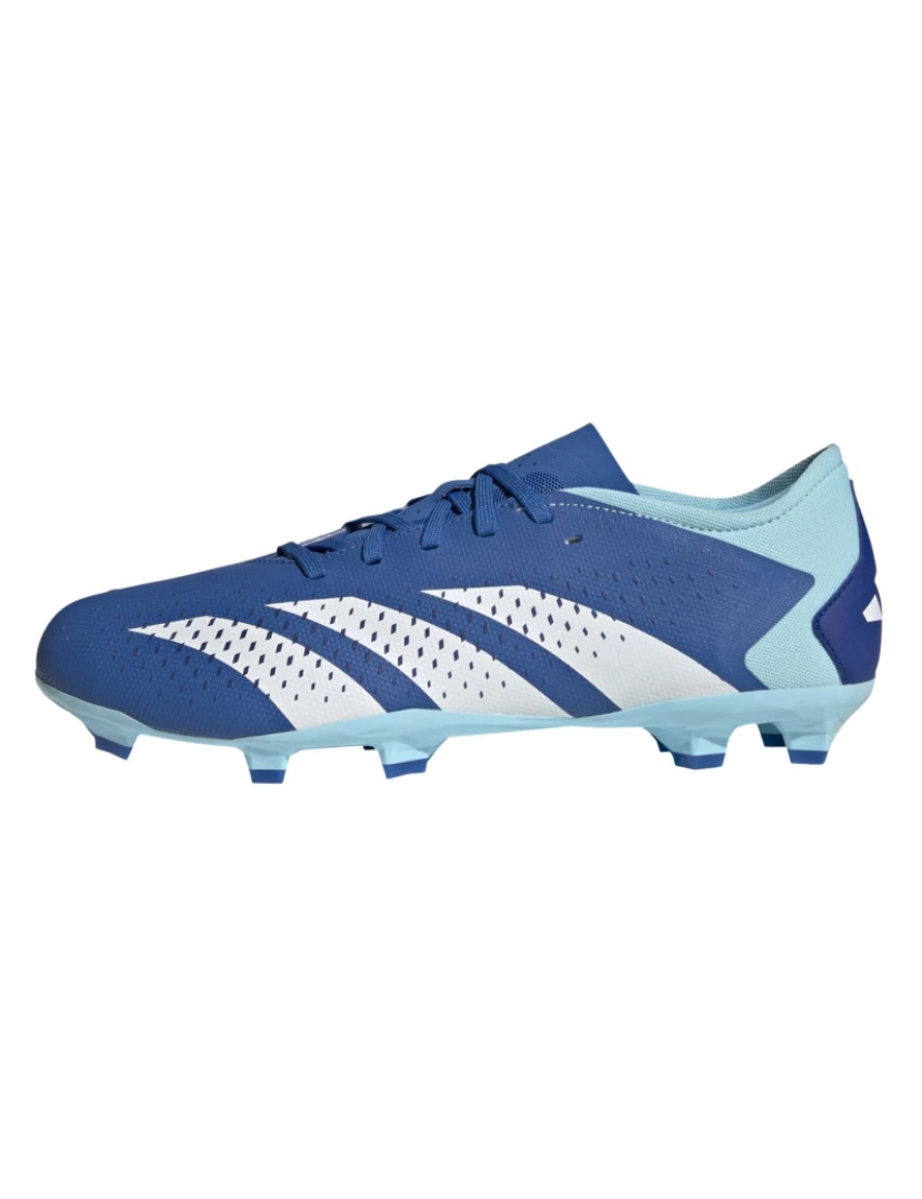 Adidas Sport - Adidas Sport Predator Accuracy.3 L Fg Botas De Futebol