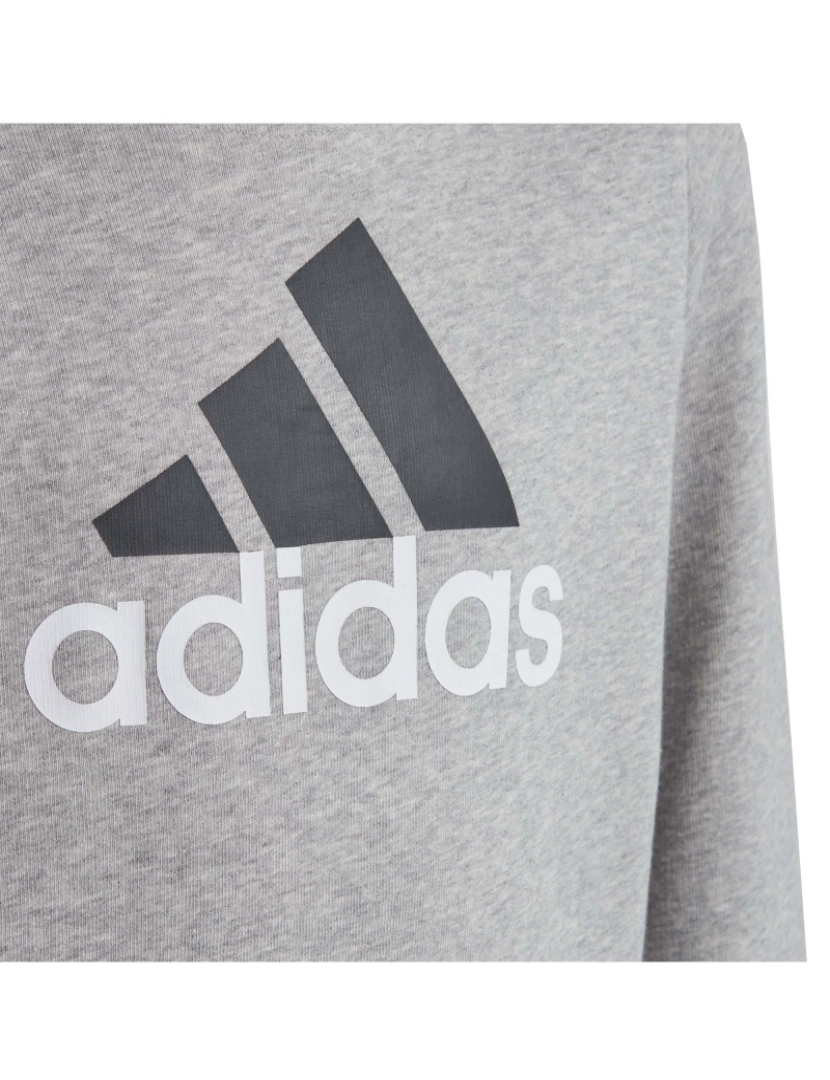 imagem de Adidas Original U Bl 2 Hoodie3