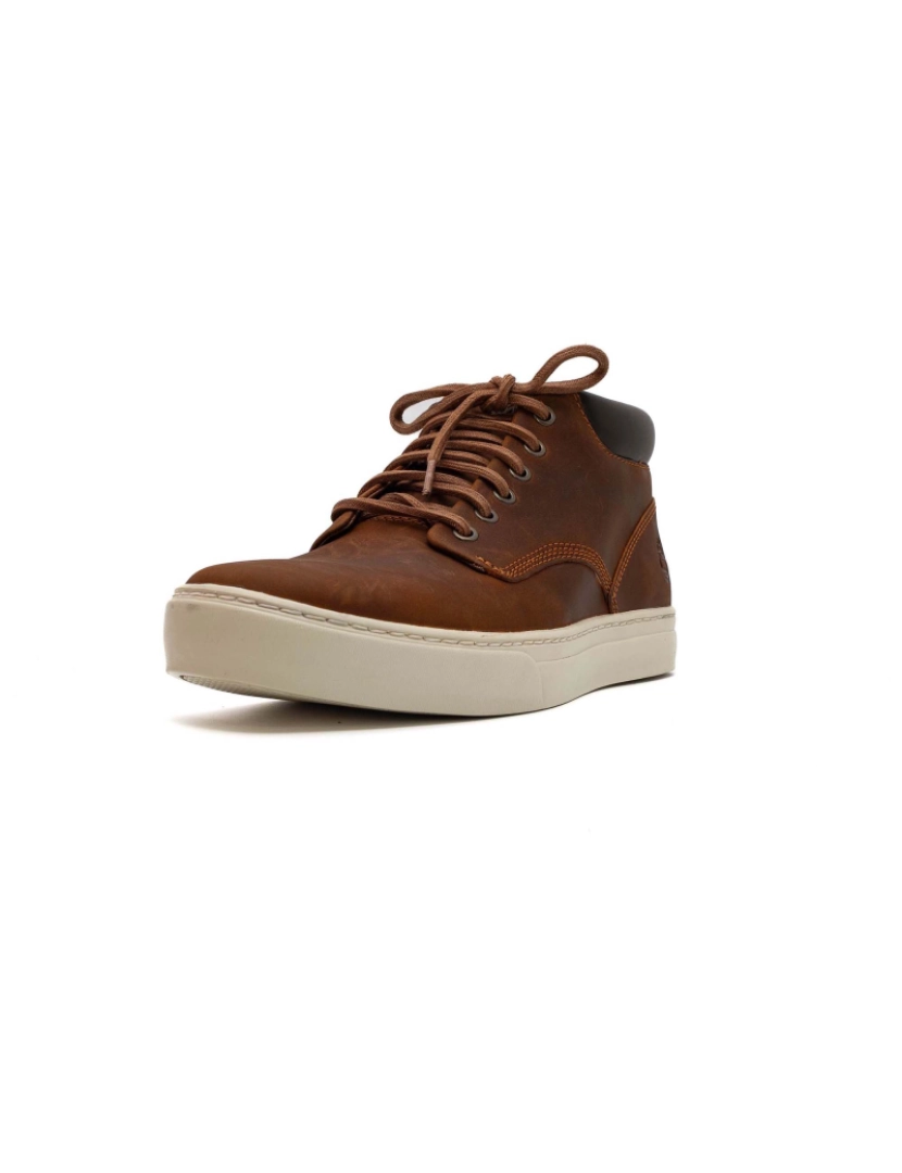 imagem de Botas Timberland Adv2.0 Chukka Md 35813