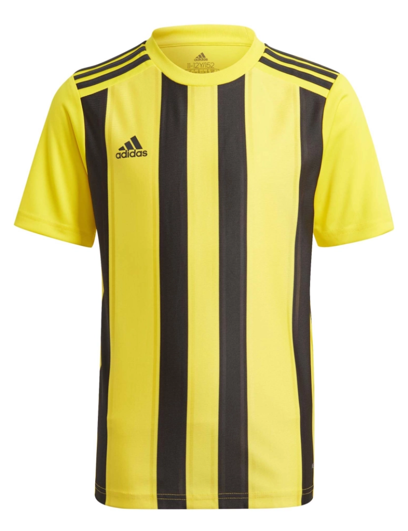 imagem de T-Shirt Adidas Sport Striped 21 Jsyy1