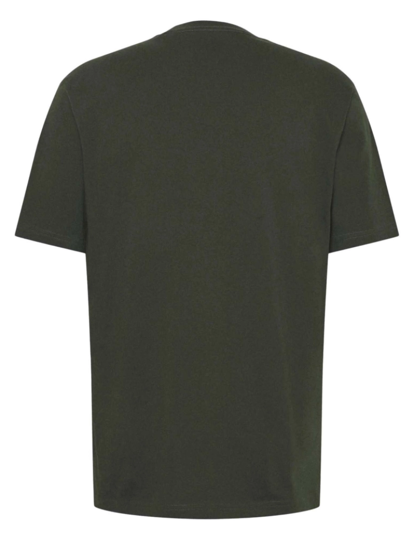 imagem de Camiseta Dickies Ss Mapleton2