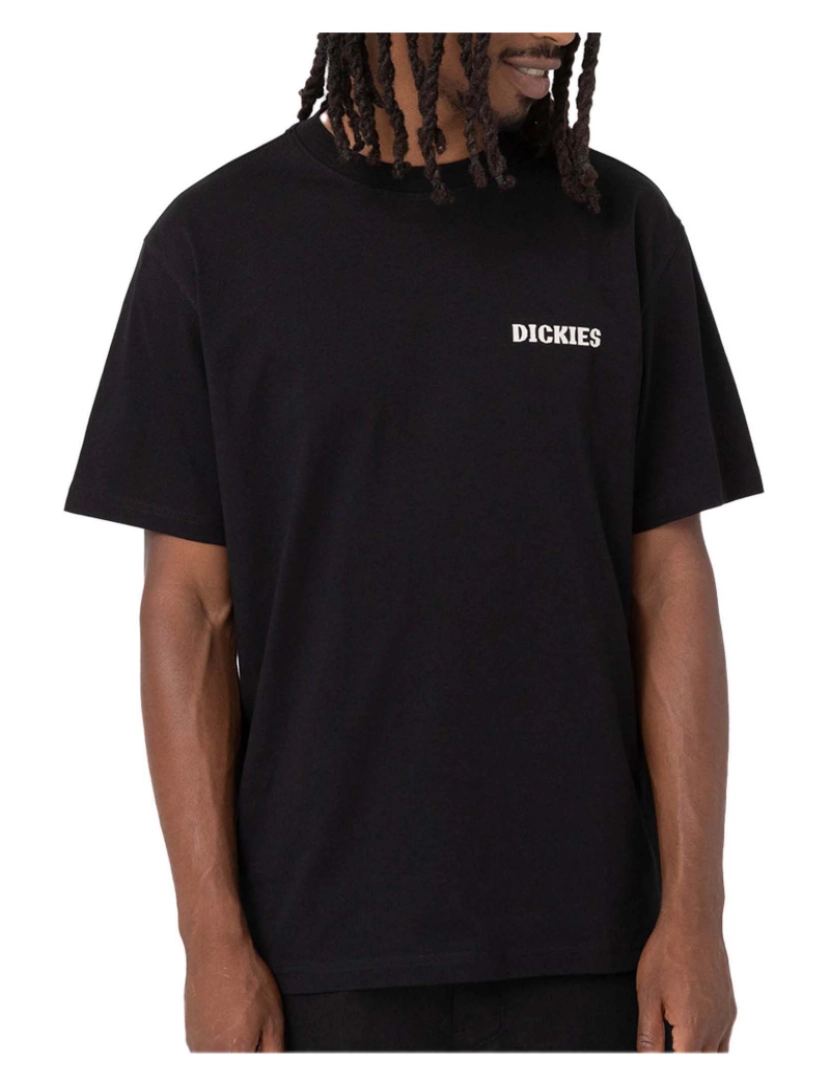 Dickies - T-Shirt Hays Tee Ss