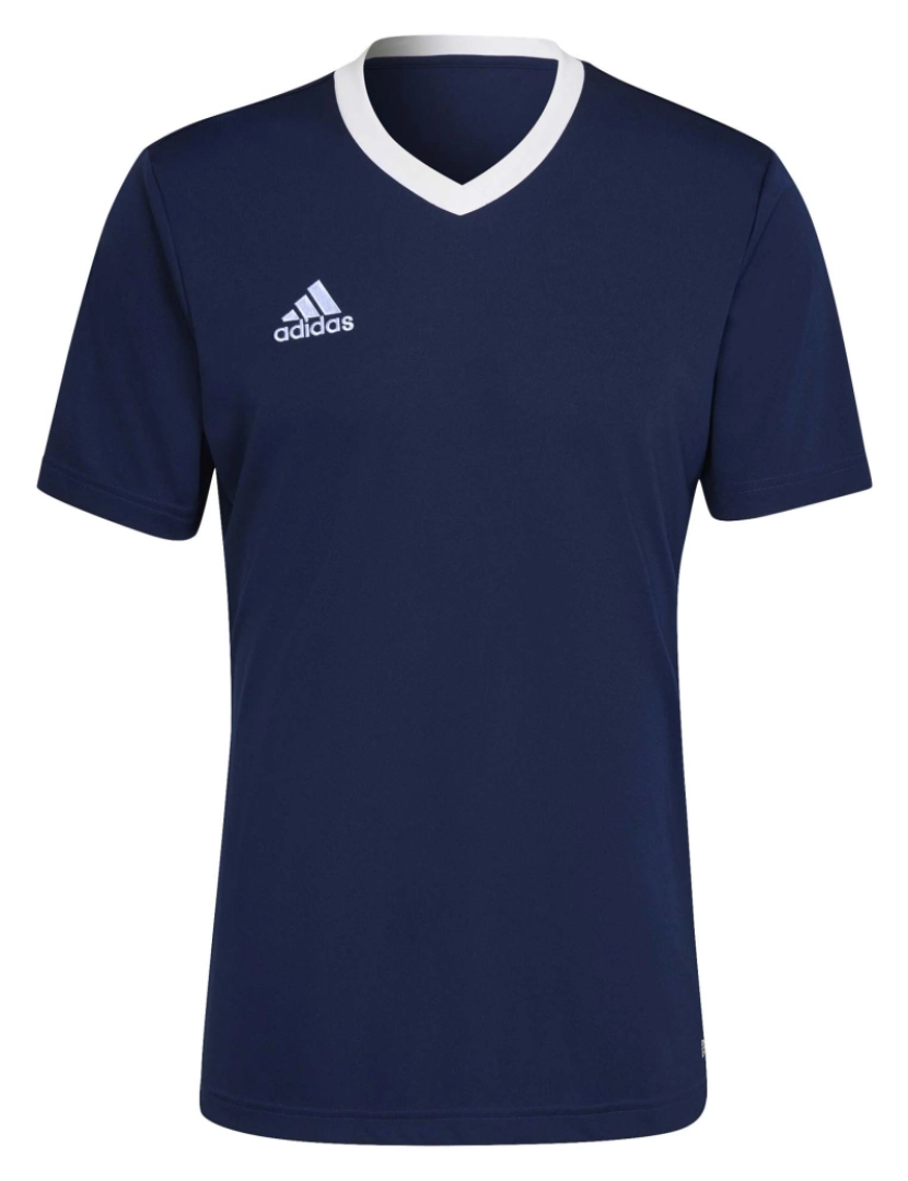 imagem de T-Shirt Adidas Sport Ent22 Jsy Tenabl1