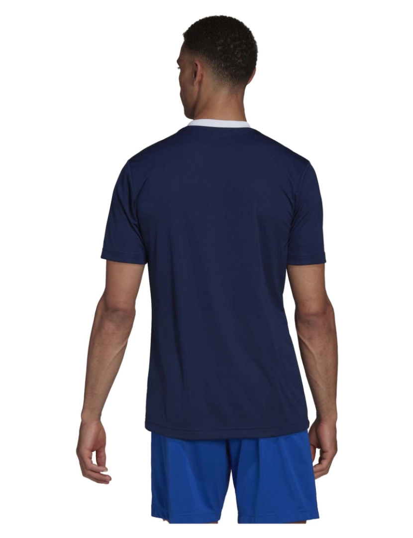 imagem de T-Shirt Adidas Sport Ent22 Jsy Tenabl4