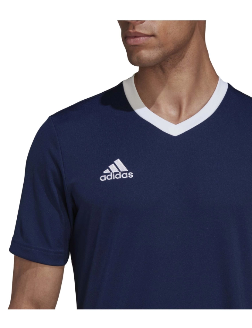 imagem de T-Shirt Adidas Sport Ent22 Jsy Tenabl5