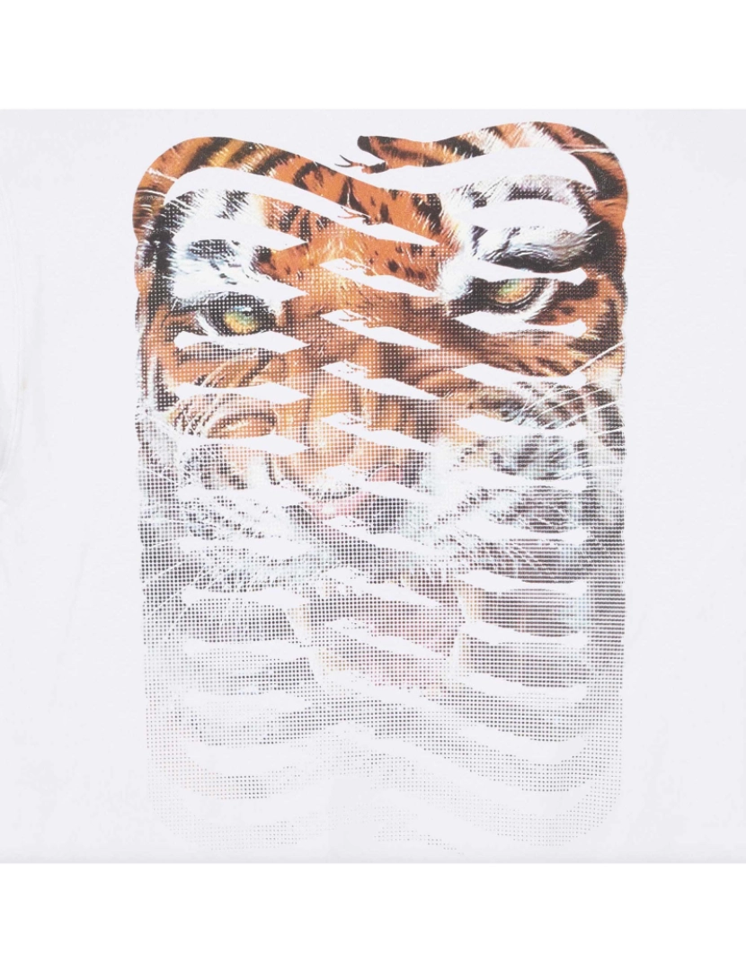 imagem de Camisola Propaganda Ribs Camisola Tigre3