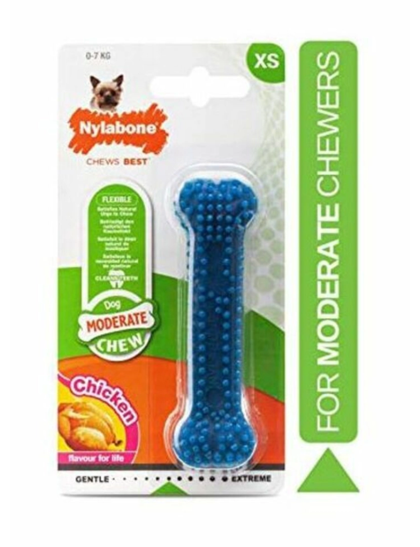 imagem de Brinquedo para cães Nylabone Pequeno Azul Natural Frango Termoplástico Tamanho XS2