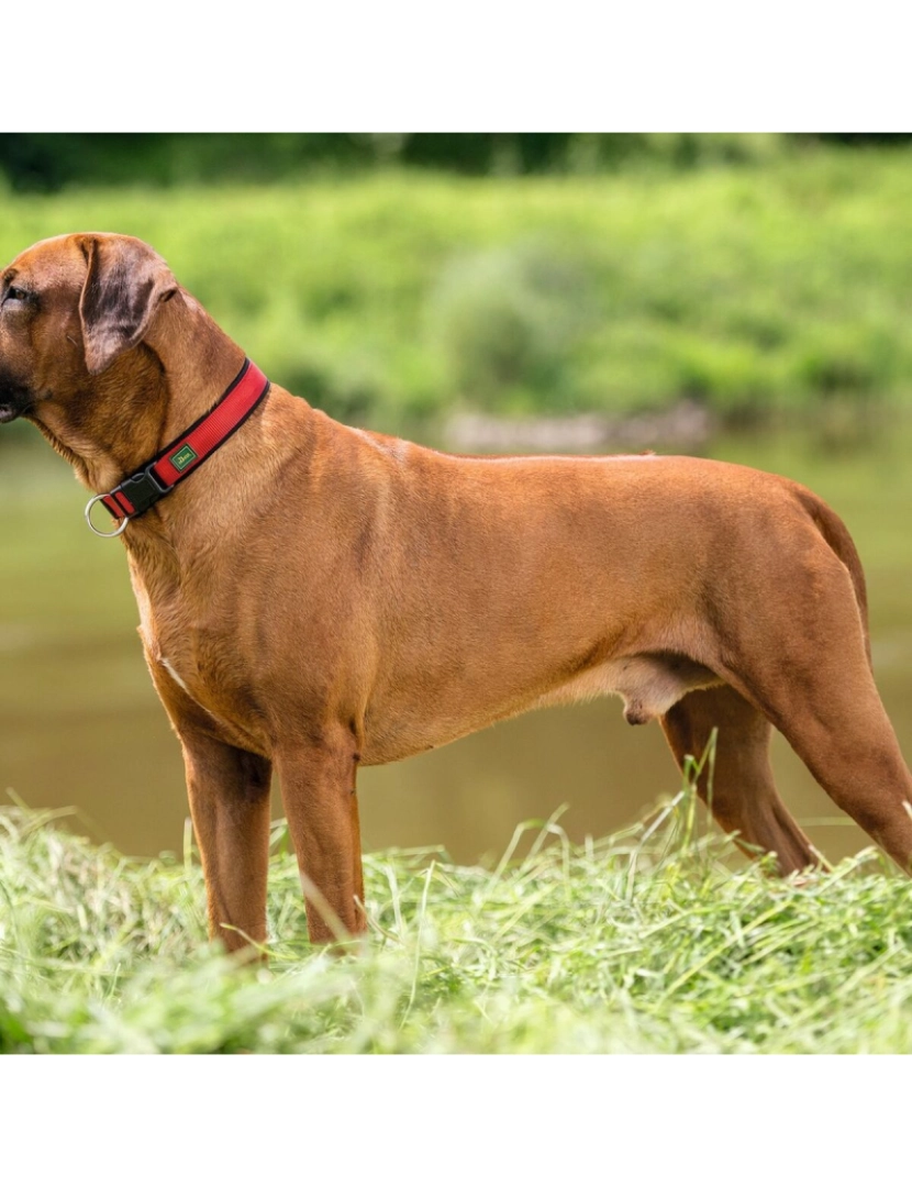 imagem de Coleira para Cães Hunter Neopren Vario Vermelho (28-30 cm)3