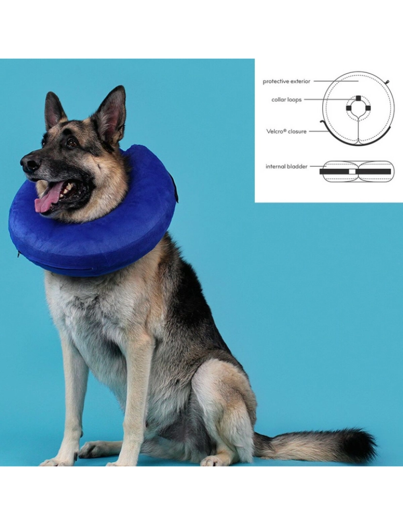 imagem de Colar de recuperação para cães KVP Kong Cloud Azul Insuflável (15-25 cm)3