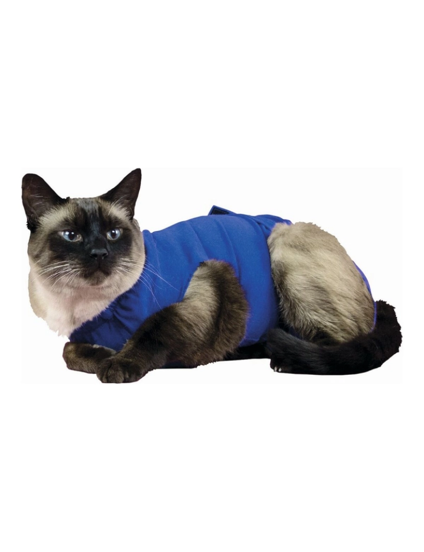 imagem de Camisola de recuperação para animais de estimação KVP Azul 25-29 cm1