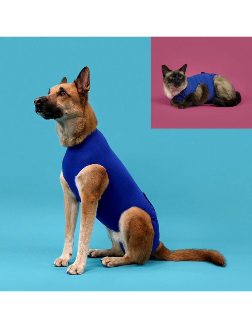 imagem de Camisola de recuperação para animais de estimação KVP Azul 25-29 cm2