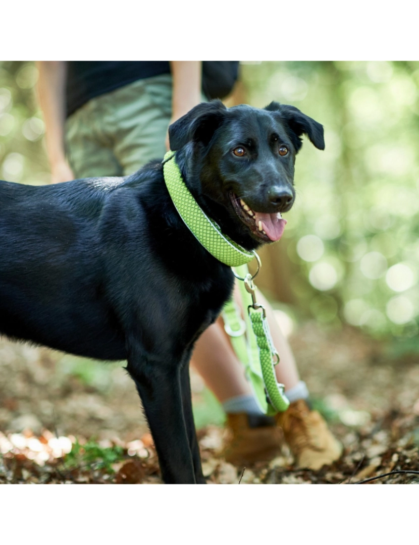 imagem de Coleira para Cães Hunter Vario Plus Fios Tamanho L Lima (40-60 cm)3