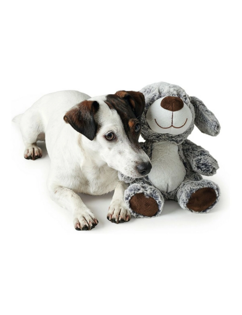 Hunter - Brinquedo para cães Hunter Faro Cinzento Cão
