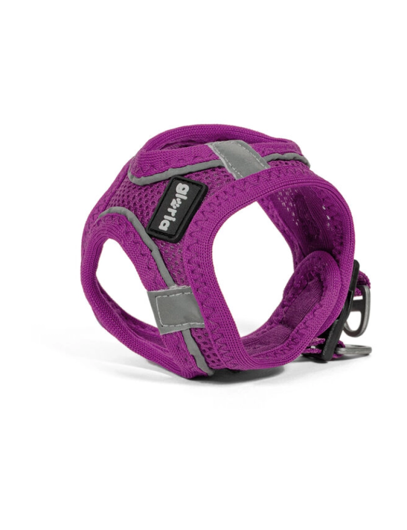 Gloria - Arnês para Cães Gloria Trek Star 24-26 cm 28-28,6 cm Roxo XXS