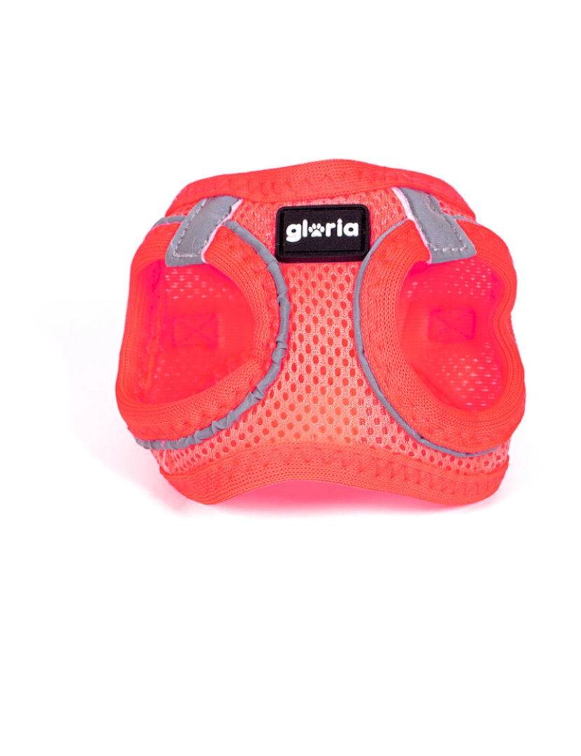 Gloria - Arnês para Cães Gloria Trek Star 27-28 cm 31-34,6 cm Cor de Rosa XS