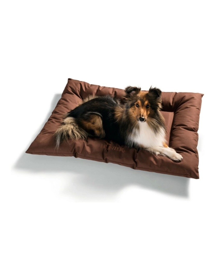 imagem de Cama para cão Hunter GENT Castanho 80 x 60 cm2