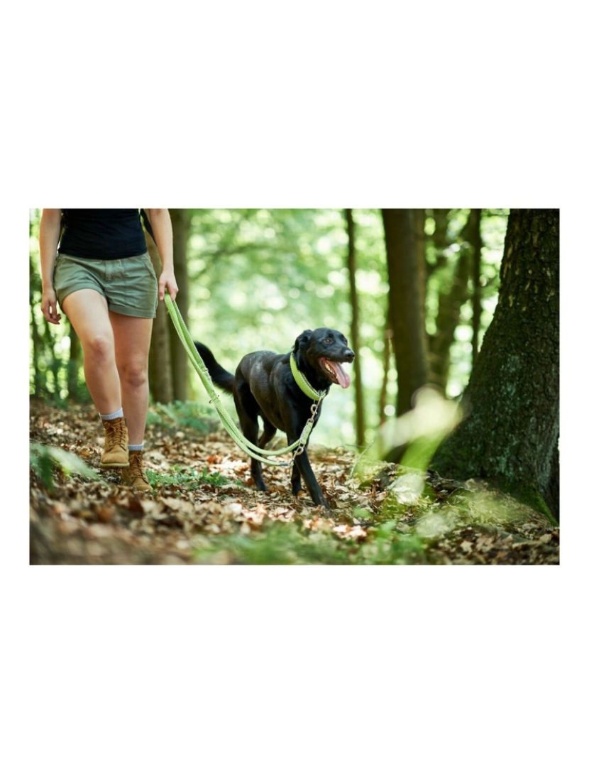 imagem de Trela para Cães Hunter HILO Lima (200 cm)4