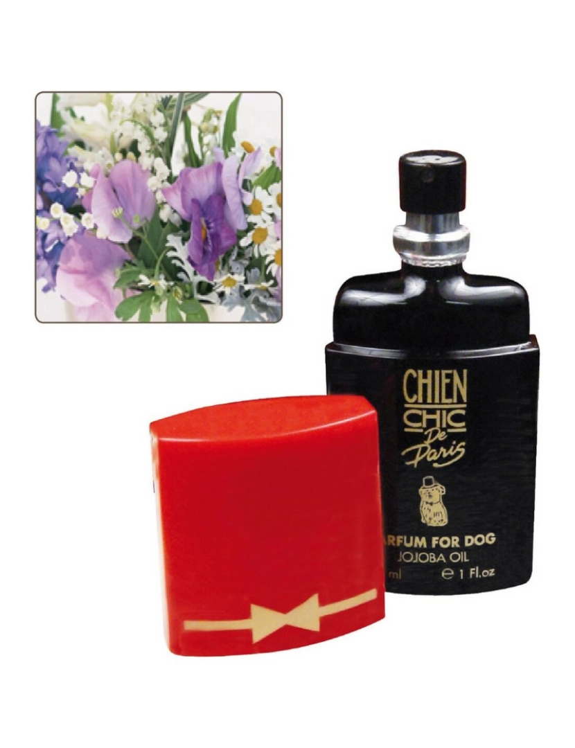 Chien Chic - Perfume para Animais de Estimação Chien Chic Floral Cão (30 ml)