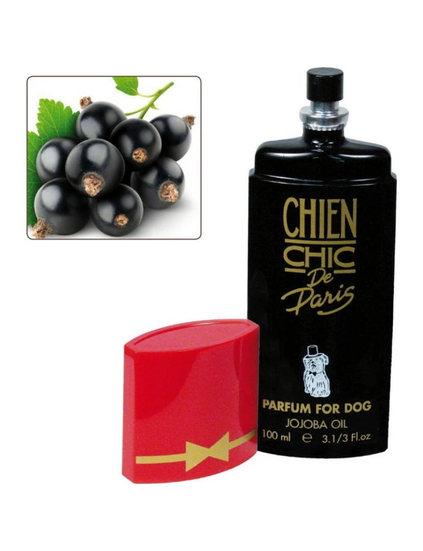 Chien Chic - Perfume para Animais de Estimação Chien Chic Cão Groselha (100 ml)