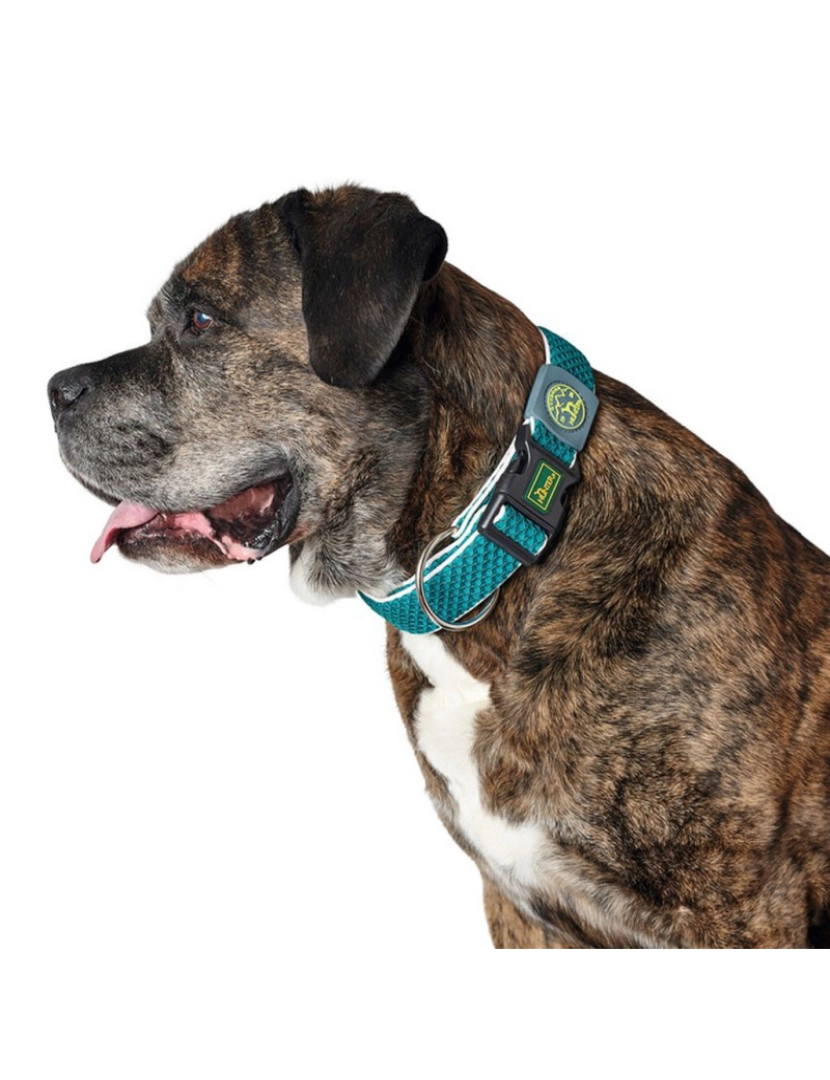 imagem de Coleira para Cães Hunter Plus Fio turquoise Turquesa Tamanho XL (45-70 cm)1