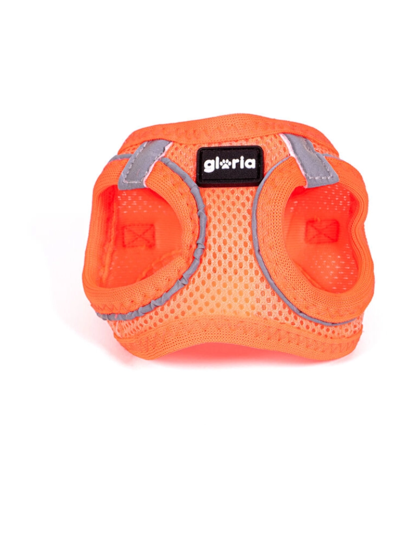 Gloria - Arnês para Cães Gloria Trek Star 27-28 cm 31-34,6 cm Laranja XS