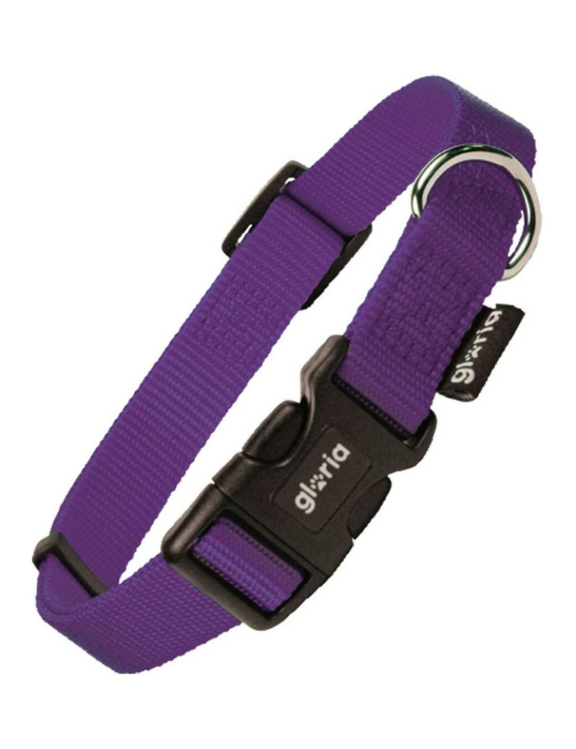 Gloria - Coleira para Cães Gloria Liso Roxo Tamanho L (36-70 cm)