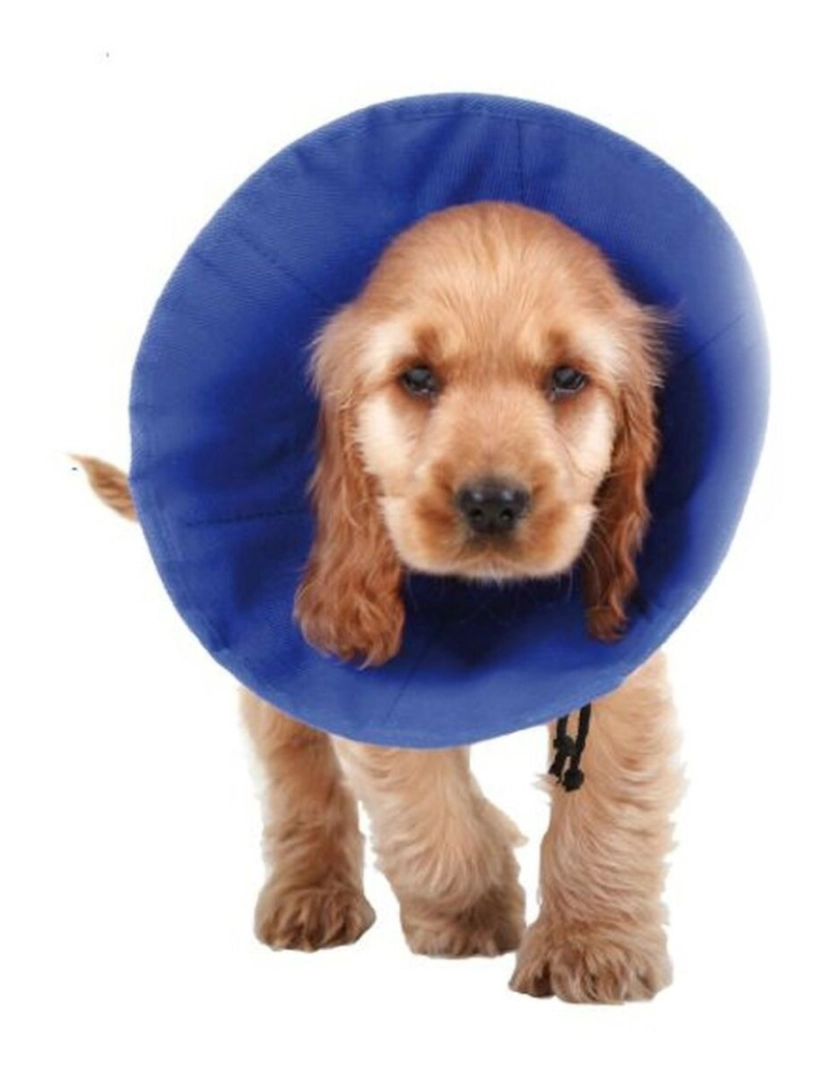 imagem de Colar Isabelino para Cães KVP EZ Soft Azul (9-25 cm)1