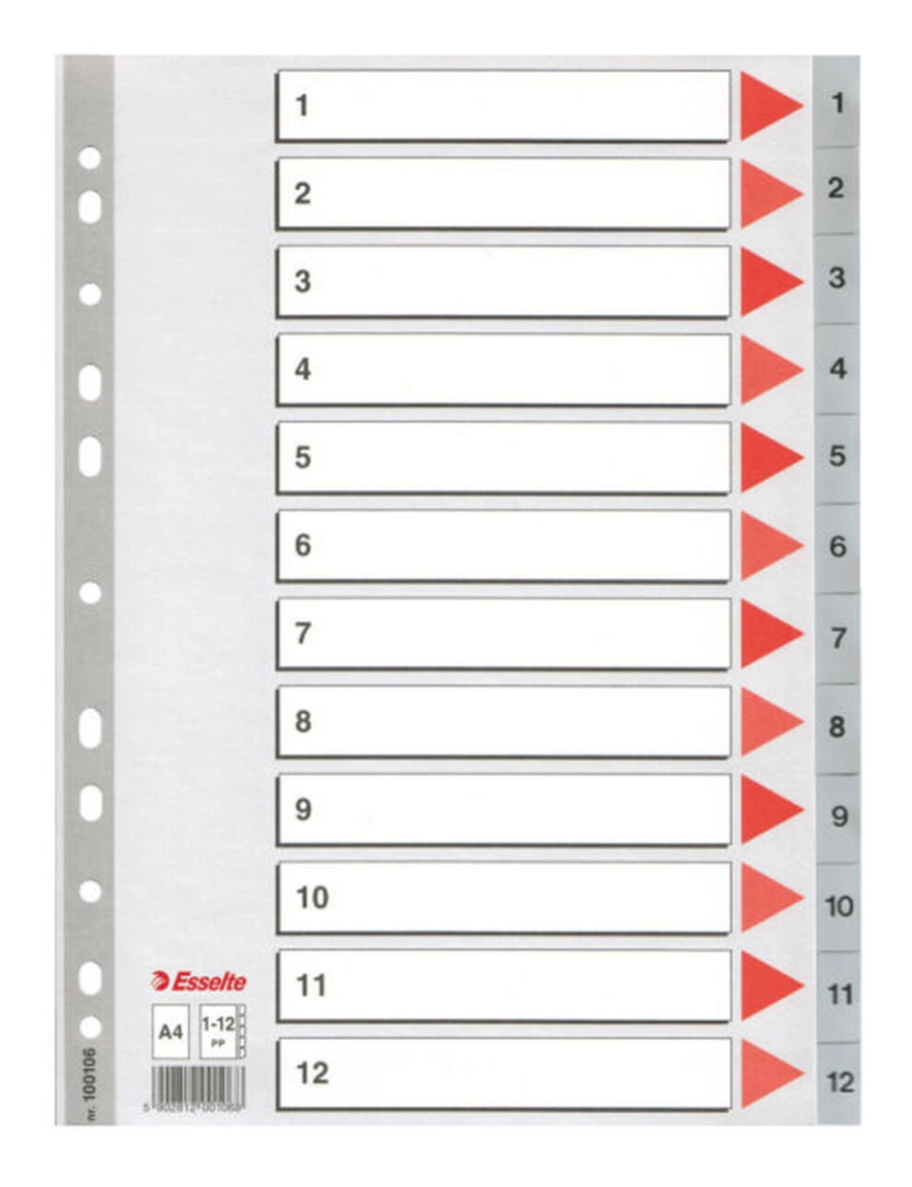 imagem de Espaçadores Esselte Numerado Cinzento A4 12 Folhas (10 Unidades)2