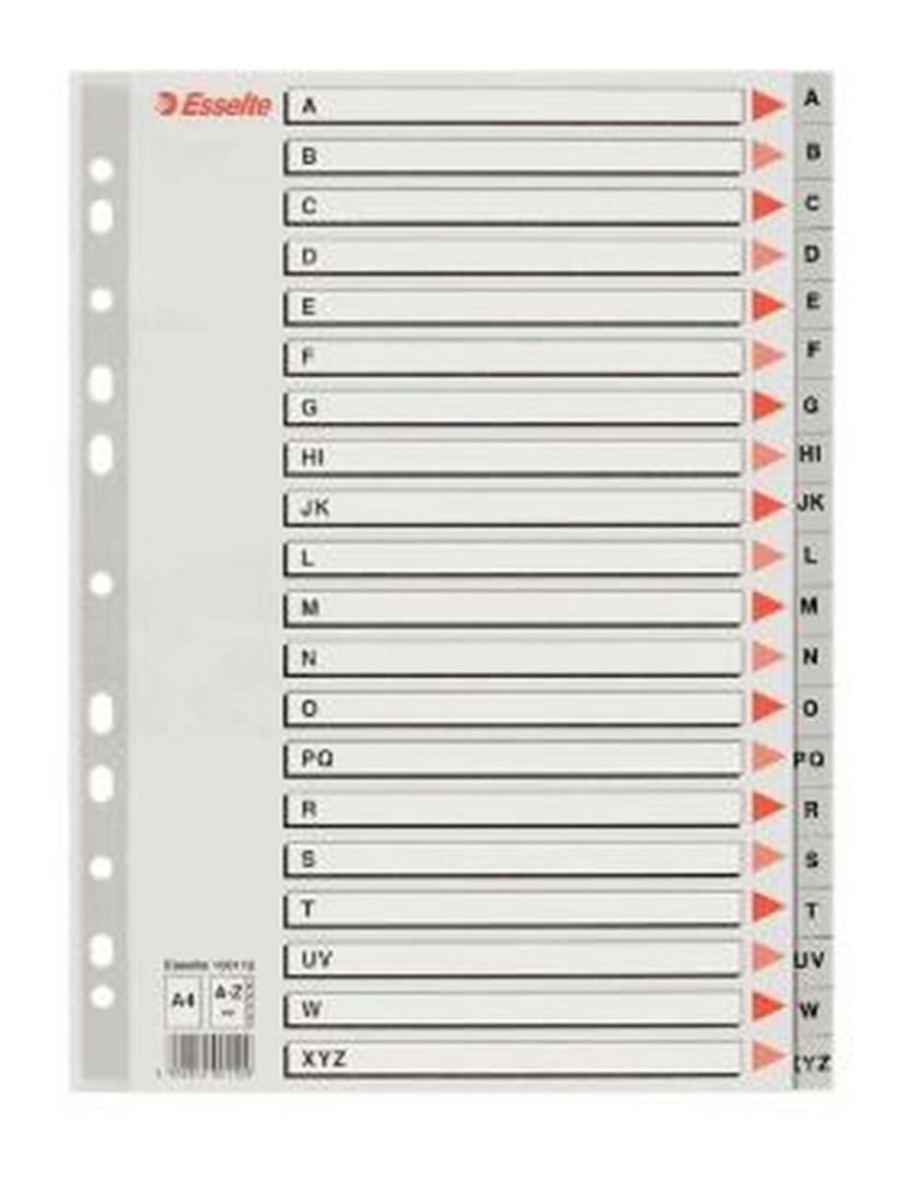 imagem de Espaçadores Esselte A-Z Abecedário Cinzento A4 (10 Unidades)2