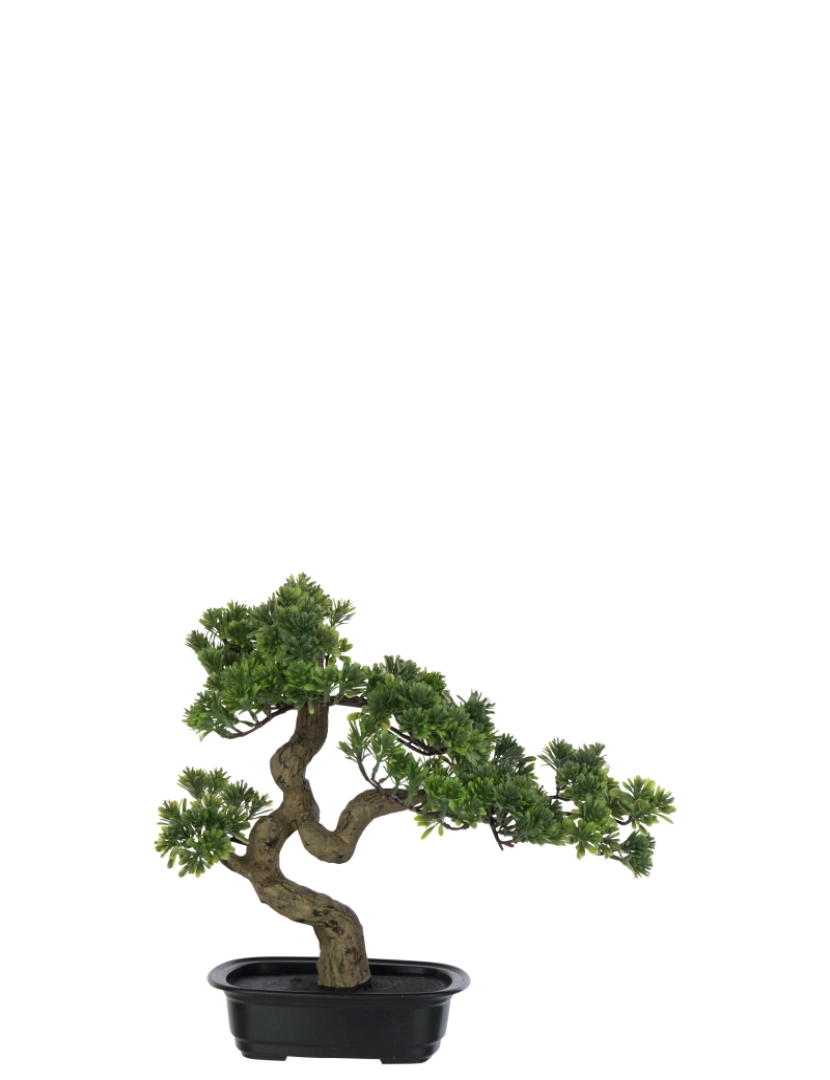 imagem de J-Line Bonsai Podocarpus artificial verde pequeno1