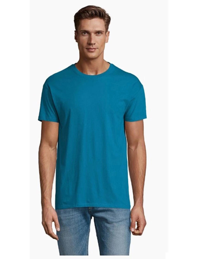 imagem de Pacote de 5 camisetas unissex gola redonda REGENT1