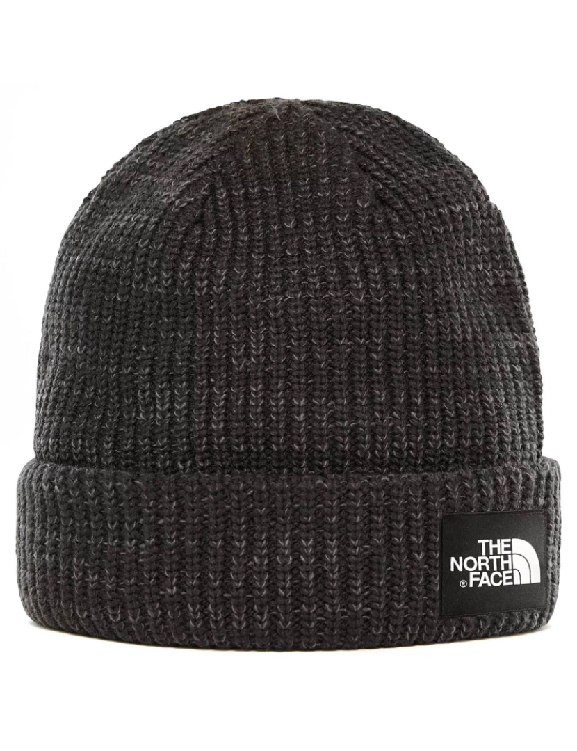 imagem de The North Face Salty Dog Beanie Negro2