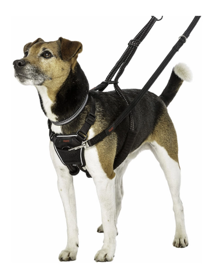 imagem de Arnês para Cães Company of Animals Halti Tamanho S (26-36 cm)2