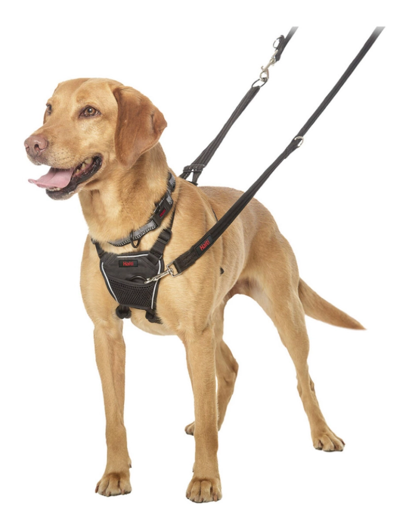 imagem de Arnês para Cães Company of Animals Halti Tamanho M (34-56 cm)2