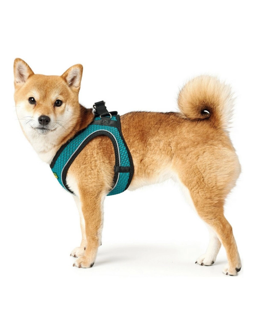 imagem de Arnês para Cães Hunter Hilo-Comfort Turquesa Tamanho XS (35-37 cm)2