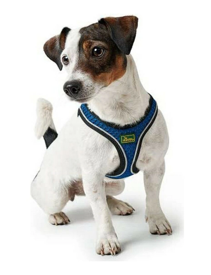 imagem de Arnês para Cães Hunter Hilo-Comfort Azul Tamanho M/L (58-63 cm)2