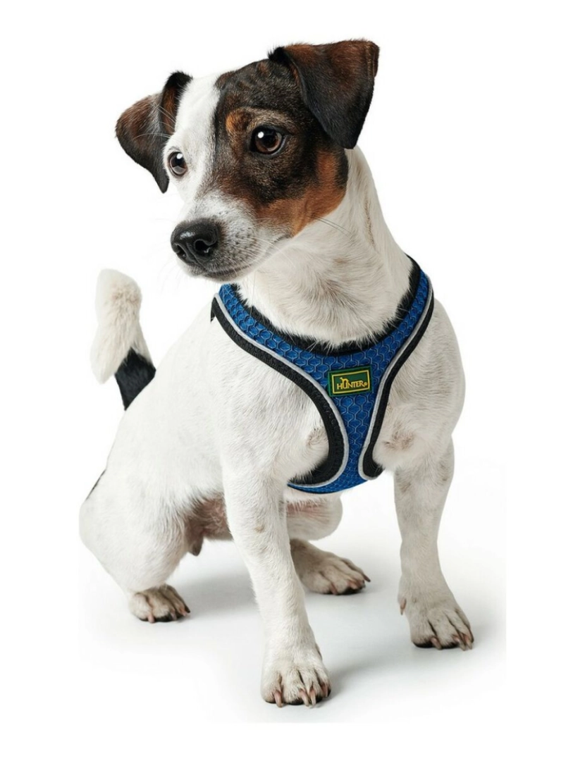 imagem de Arnês para Cães Hunter Hilo-Comfort Azul Tamanho S (42-48 cm)2