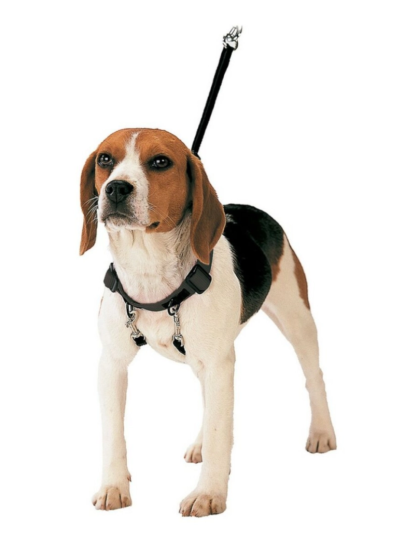 Gloria - Arnês para Cães Gloria 30-42 cm Tamanho M