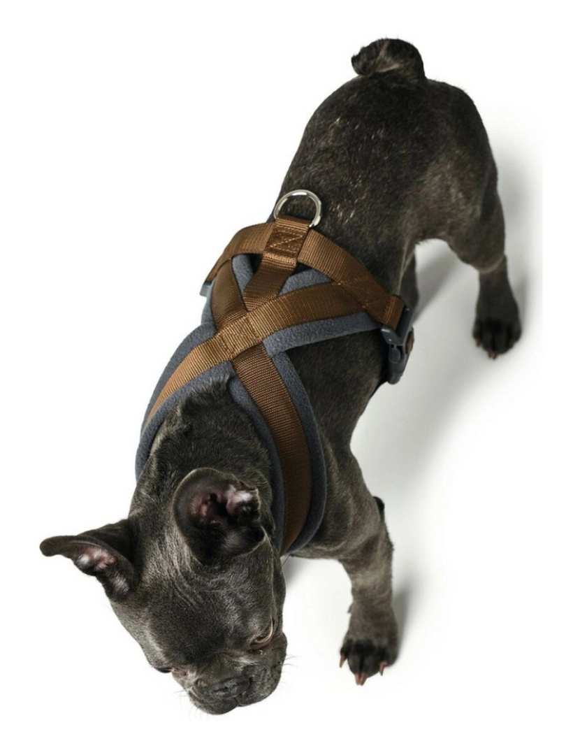 imagem de Arnês para Cães Hunter London Comfort XS-S 39-47 cm Castanho1