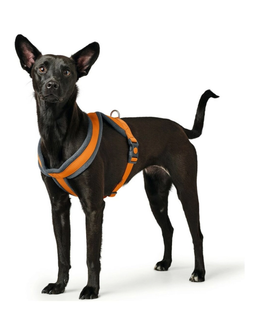 imagem de Arnês para Cães Hunter London Comfort Laranja S/M 52-62 cm2