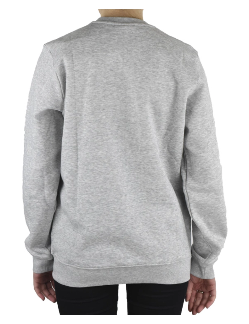 imagem de Sertum Junior Sweatshirt, Grey Hoodie3