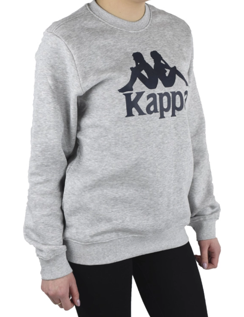 imagem de Sertum Junior Sweatshirt, Grey Hoodie4