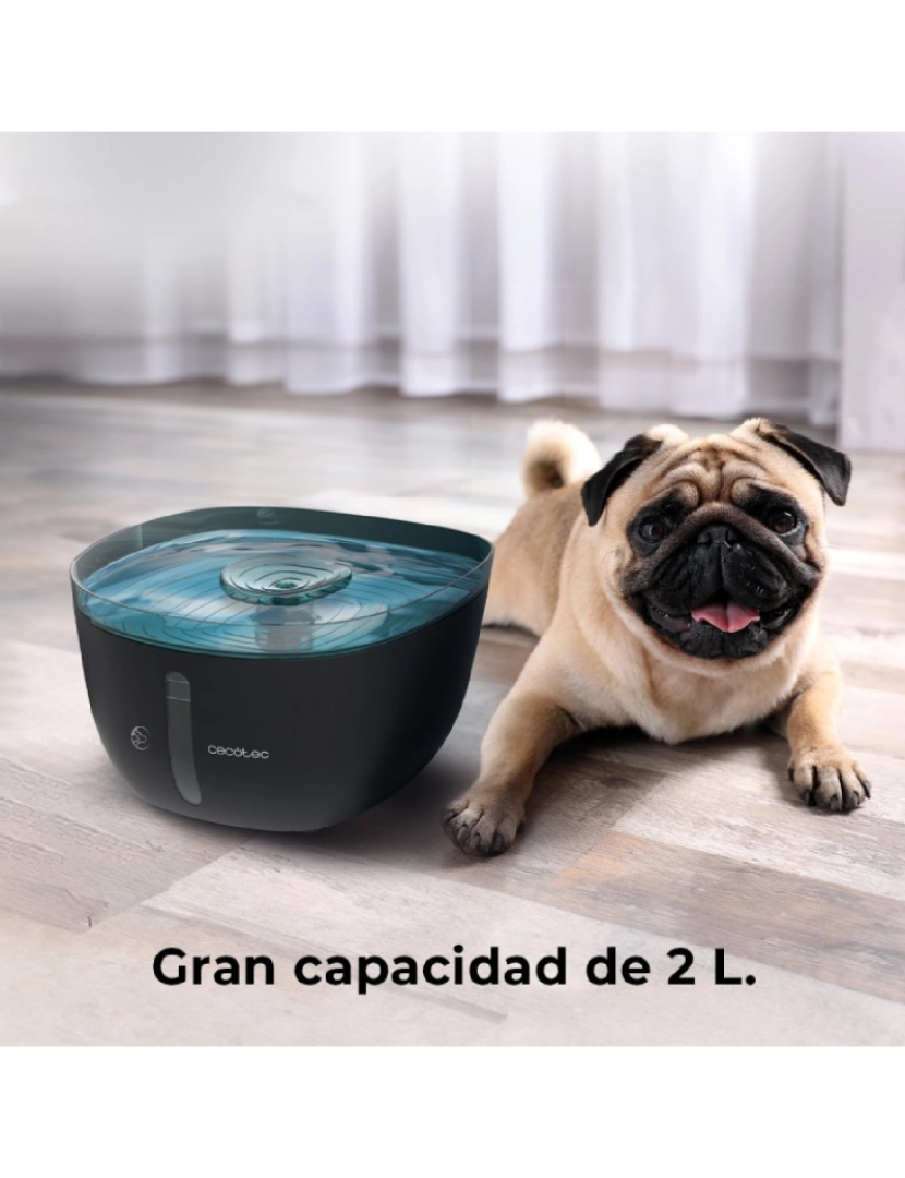 imagem de Cecotec Fonte automática para animais de estimação com 2 l de capacidade, inclui filtro e luz interior.5