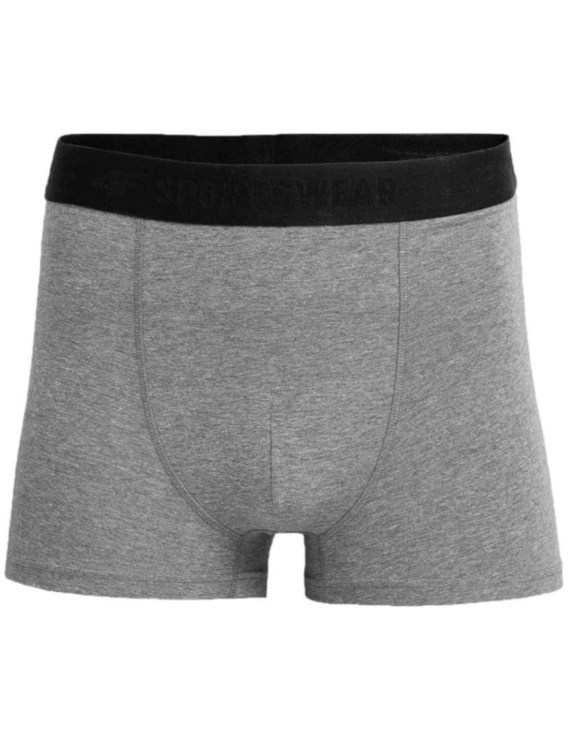 4F - Men's Briefs, Grey Boxer Shorts