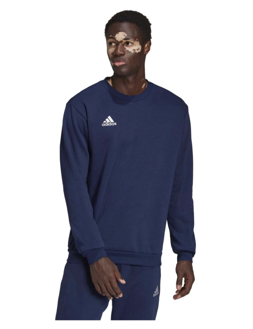 imagem de Adidas Sport Ent22 Sw Top Tenablue Sweatshirt2