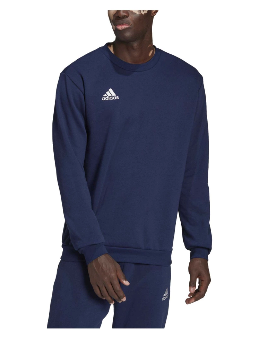 imagem de Adidas Sport Ent22 Sw Top Tenablue Sweatshirt3