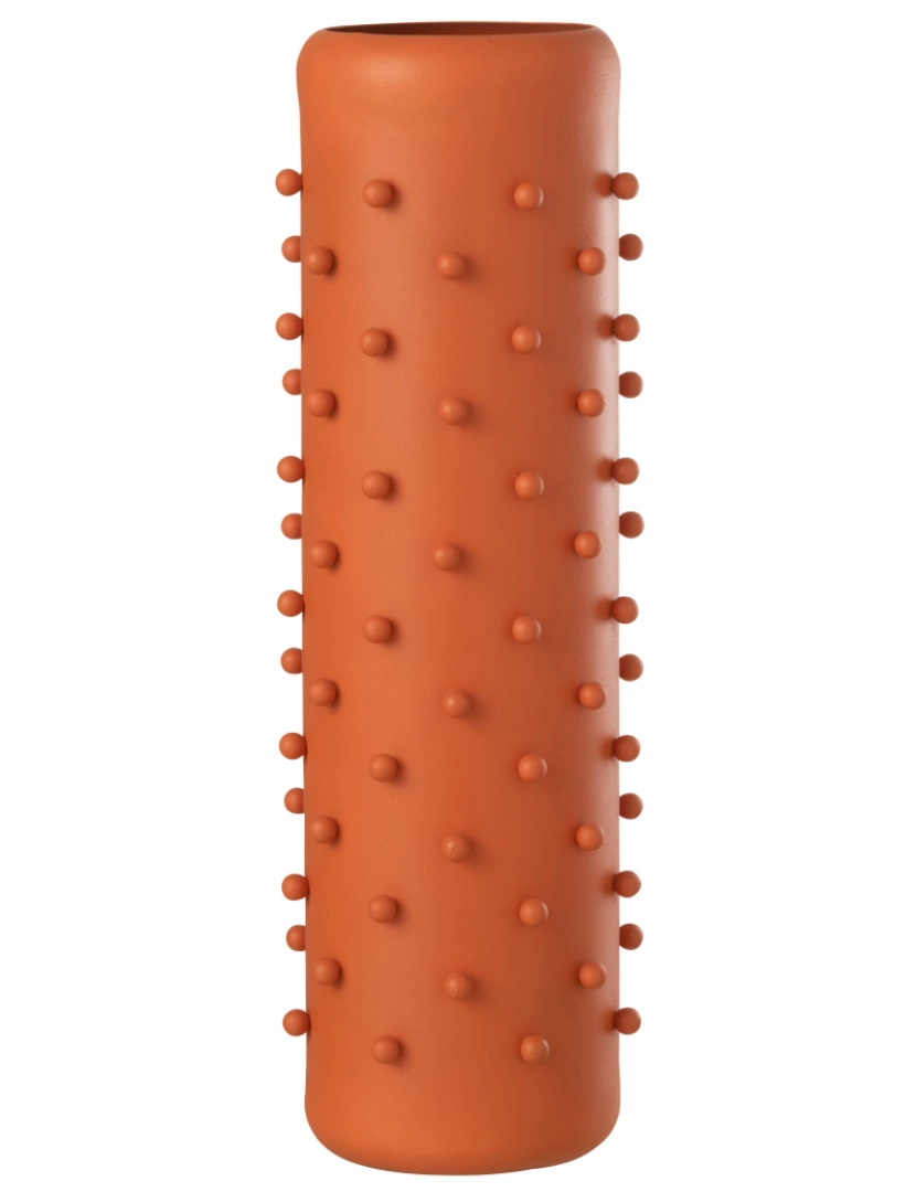 imagem de Vase de cacto de ferro laranja J-Line1