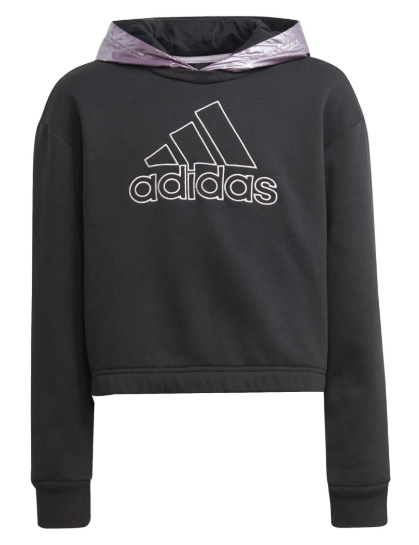 Adidas Sport - Adidas Sport Sweatshirt G Wg Hoodie Preto/Ma