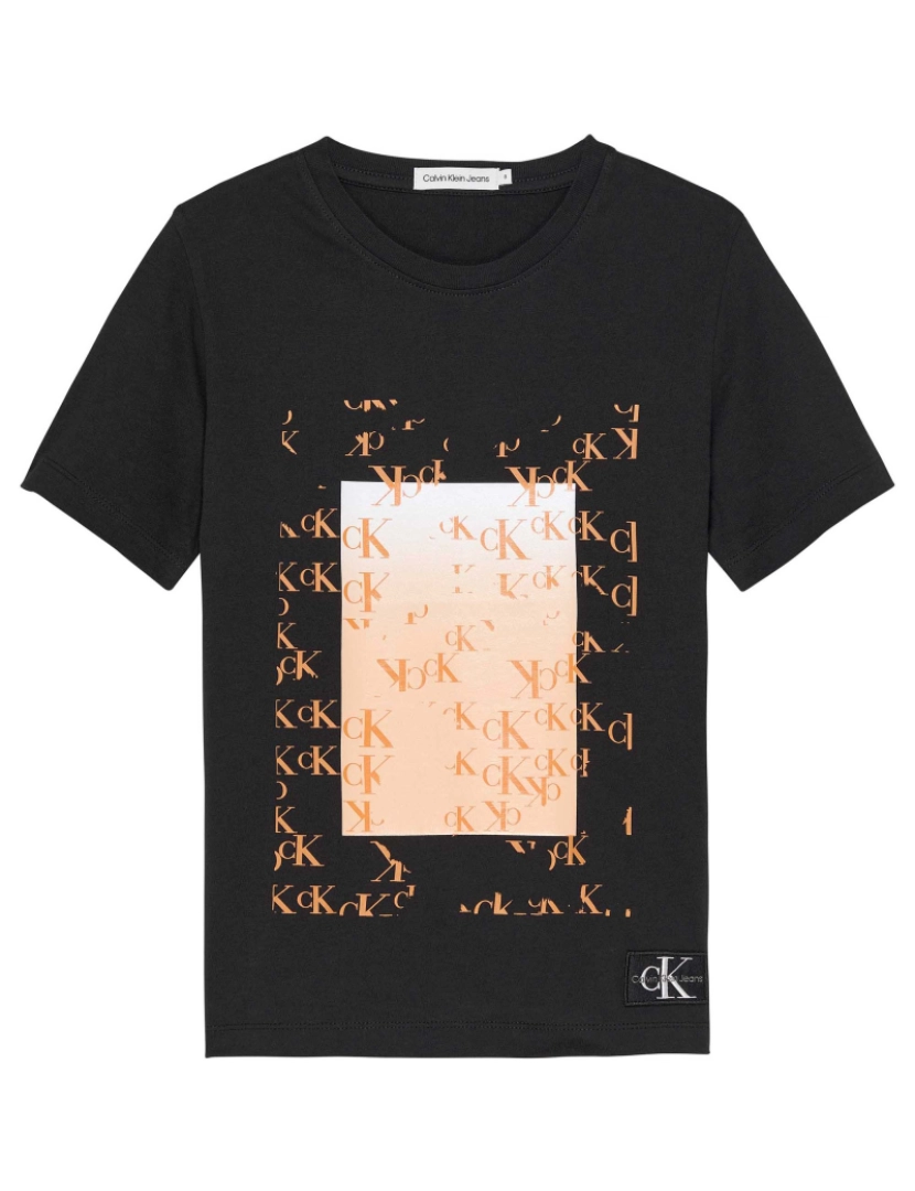 Calvin Klein - Camiseta Calvin Klein Monograma Gráfico Flare