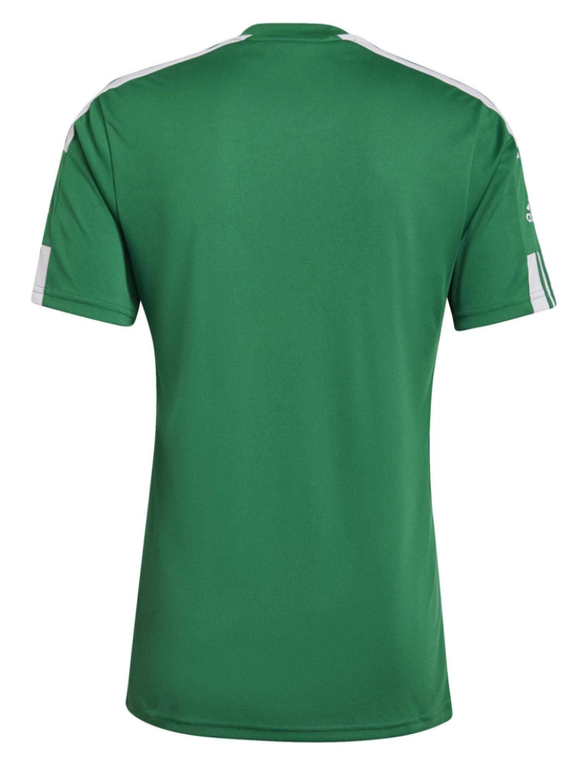 imagem de T-Shirt Adidas Sport Squadra 21 Jersey Manga Curta Team Verde/Branco2